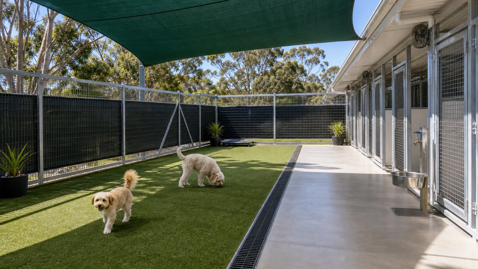 Outdoor kennel exercise run with shade cloth and safe fencing